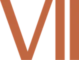 Vii girona